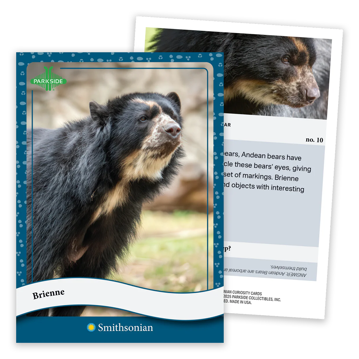 Curiosity Cards: Animal Kingdom - First Edition! - Image 2