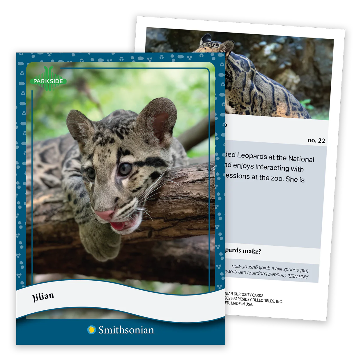 Curiosity Cards: Animal Kingdom - First Edition! - Image 3