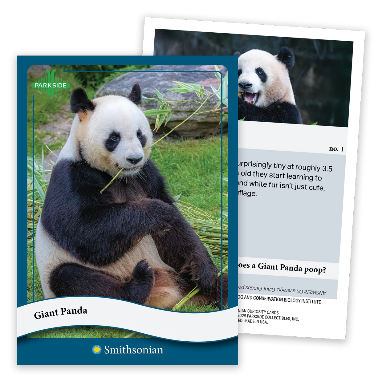Curiosity Cards: Animal Kingdom - First Edition! - Image 4